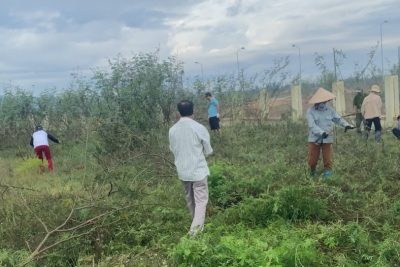 TRƯỜNG TH BÌNH ĐÔNG TRỒNG CÂY Ở CỤM THƯỢNG HÒA